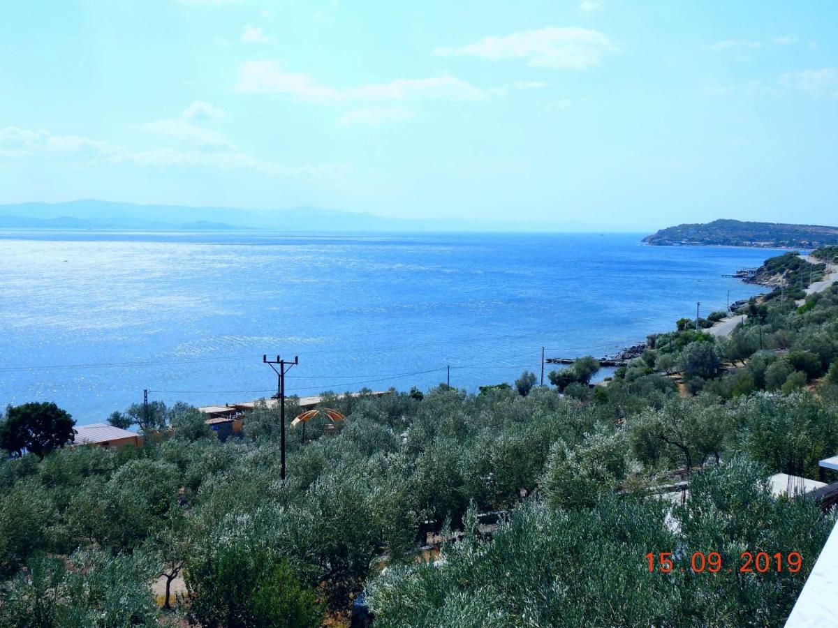 Assos Nazan Motel Restoran Beach Sokakagzi ภายนอก รูปภาพ
